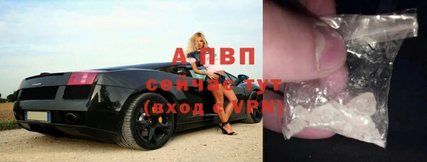 стаф Верхний Тагил